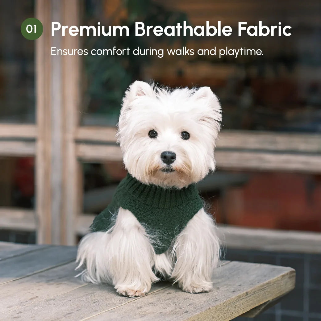Cozy green knit pet sweater vest on a small dog, offering comfort for walks and playtime.