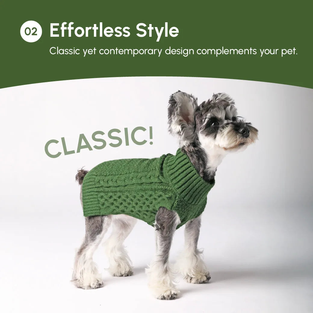Cozy green knit pet sweater vest on a small dog, featuring a classic design and ribbed neckline.