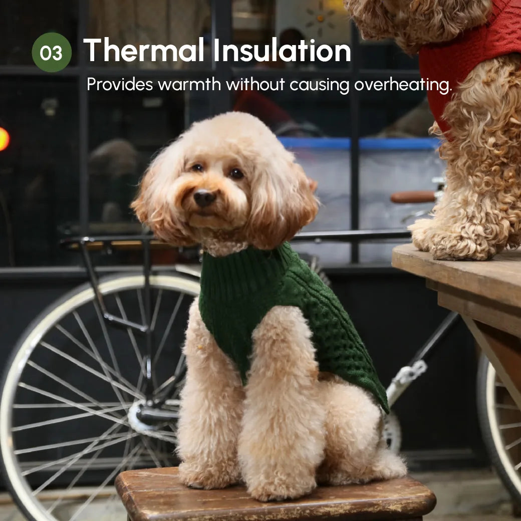 Cozy green knit pet sweater vest on a dog, featuring a textured pattern and ribbed neck for warmth.