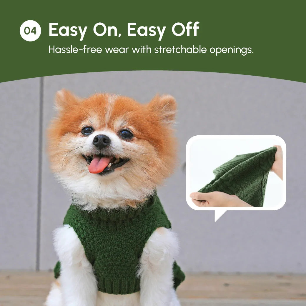 Cozy green knit pet sweater vest on a happy dog, showcasing stretchable openings for easy wear.