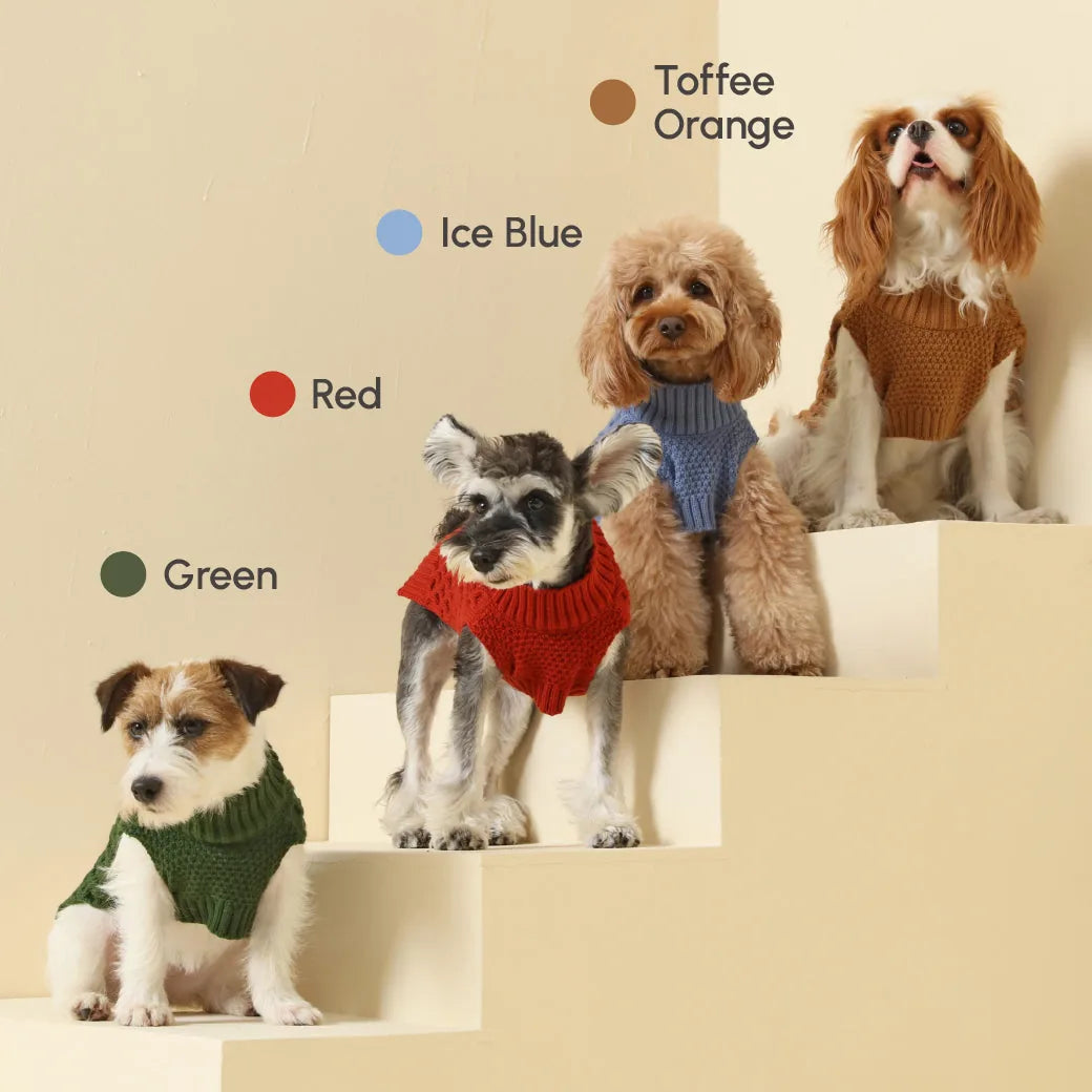 Cozy green knit pet sweater vest on a dog, surrounded by others in various colors, showcasing stylish options for cooler d...