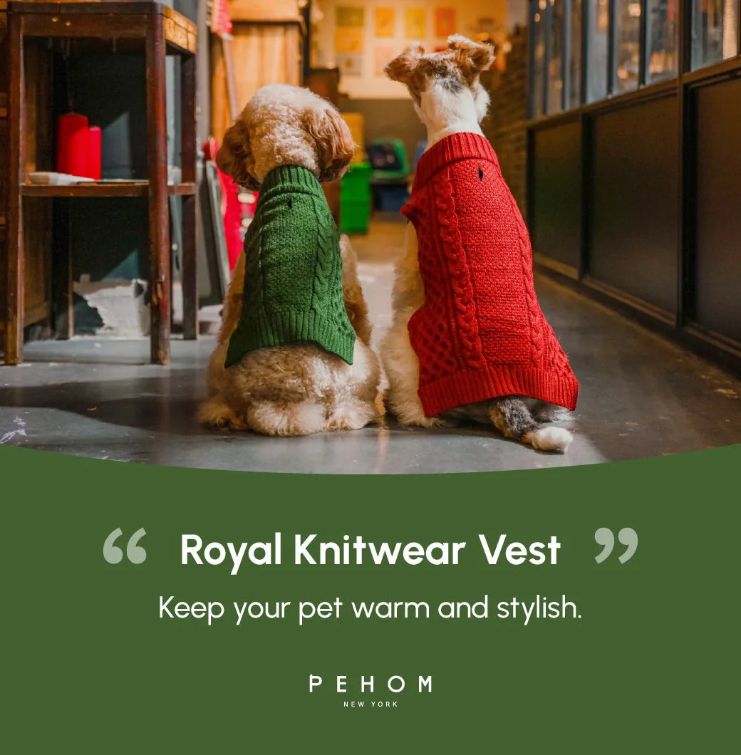 Cozy green knit pet sweater vest, perfect for keeping dogs warm on cooler days.