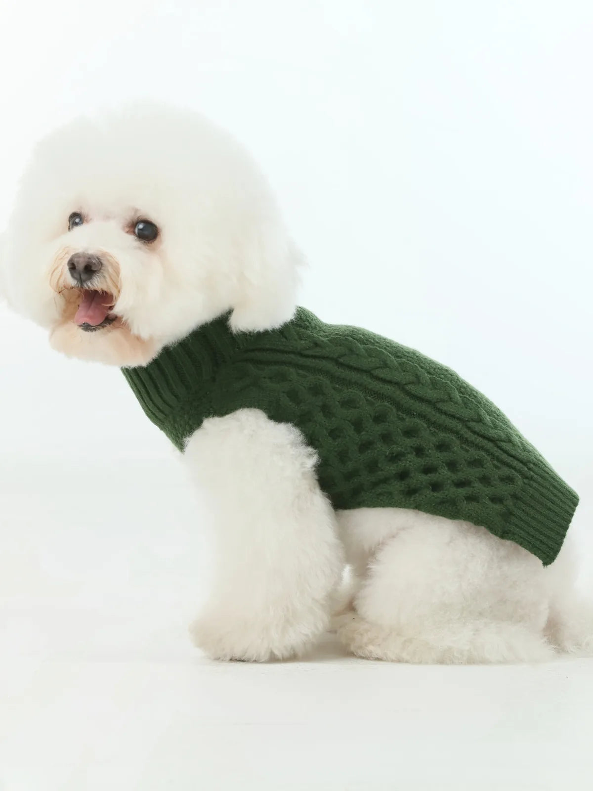 Cozy green knit pet sweater vest on a fluffy white dog, perfect for cooler days. Ideal for stylish dog apparel.