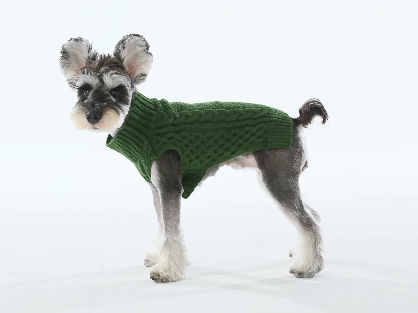 Cozy green knit sweater vest on a dog, featuring a textured design and a high collar for extra warmth.