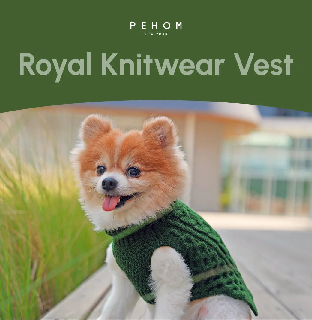 Cozy green knit sweater vest on a happy dog, featuring a stylish design and comfortable fit for cooler days.