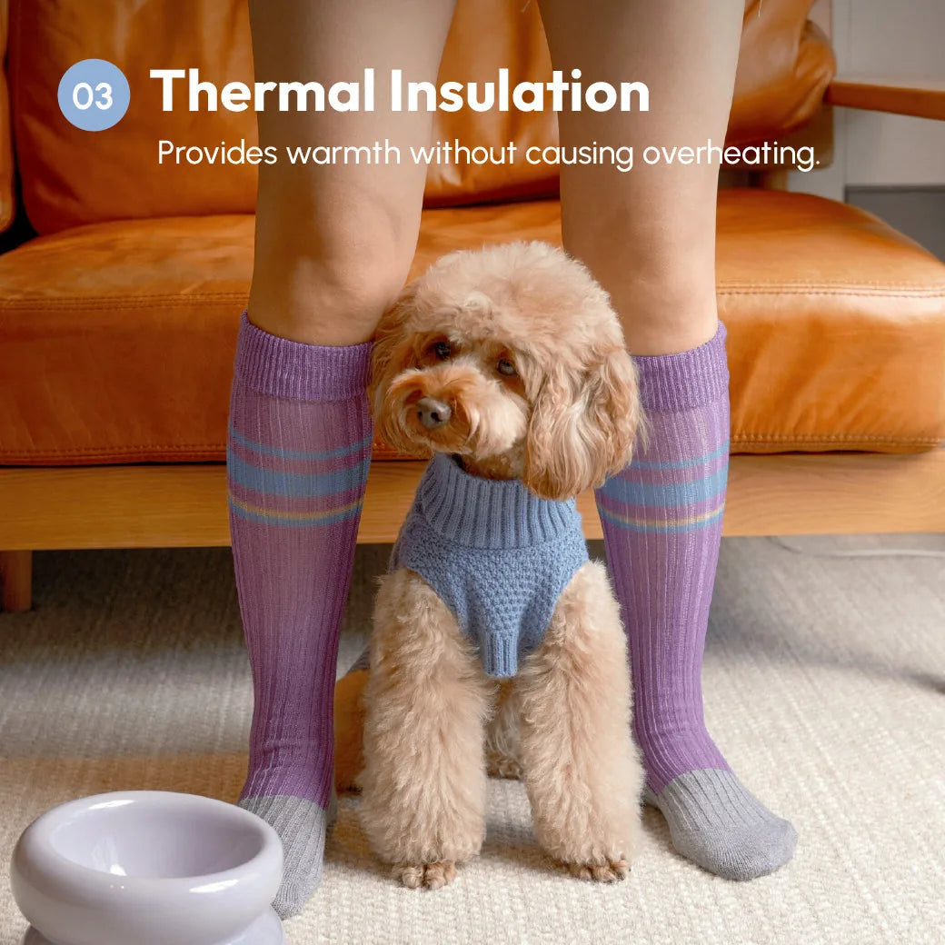 Cozy ice blue knit dog sweater vest worn by a fluffy dog, paired with stylish purple and gray socks.
