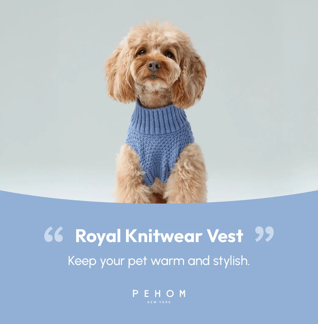 Fluffy dog wearing an ice blue cozy knit sweater vest, showcasing stylish warmth for cooler seasons.