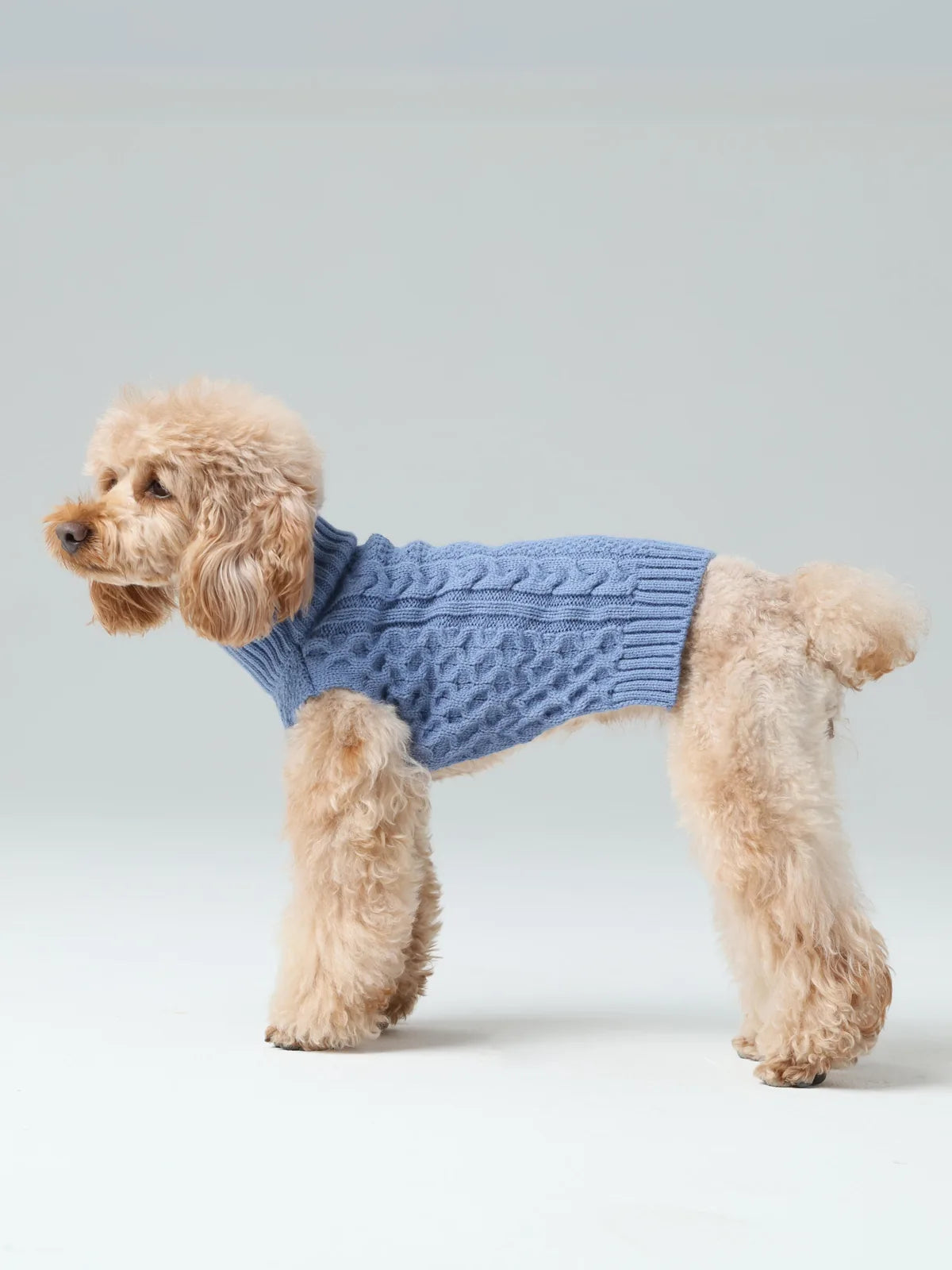 Cozy ice blue sweater vest on a fluffy dog, featuring a textured knit design and a comfortable fit for cooler days.
