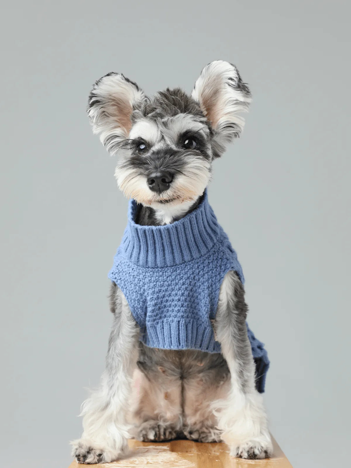 Cozy ice blue knit sweater vest on a stylish dog, featuring a ribbed collar and textured design for warmth.