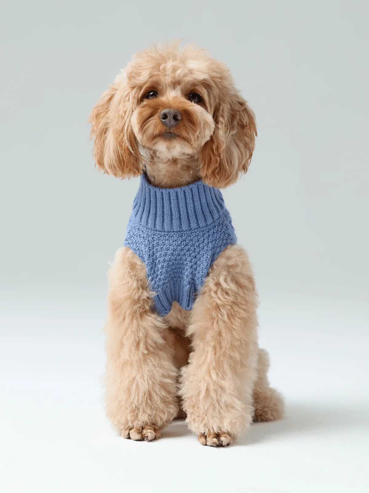Cozy ice blue pet sweater vest on a fluffy dog, featuring a ribbed collar and textured knit design.