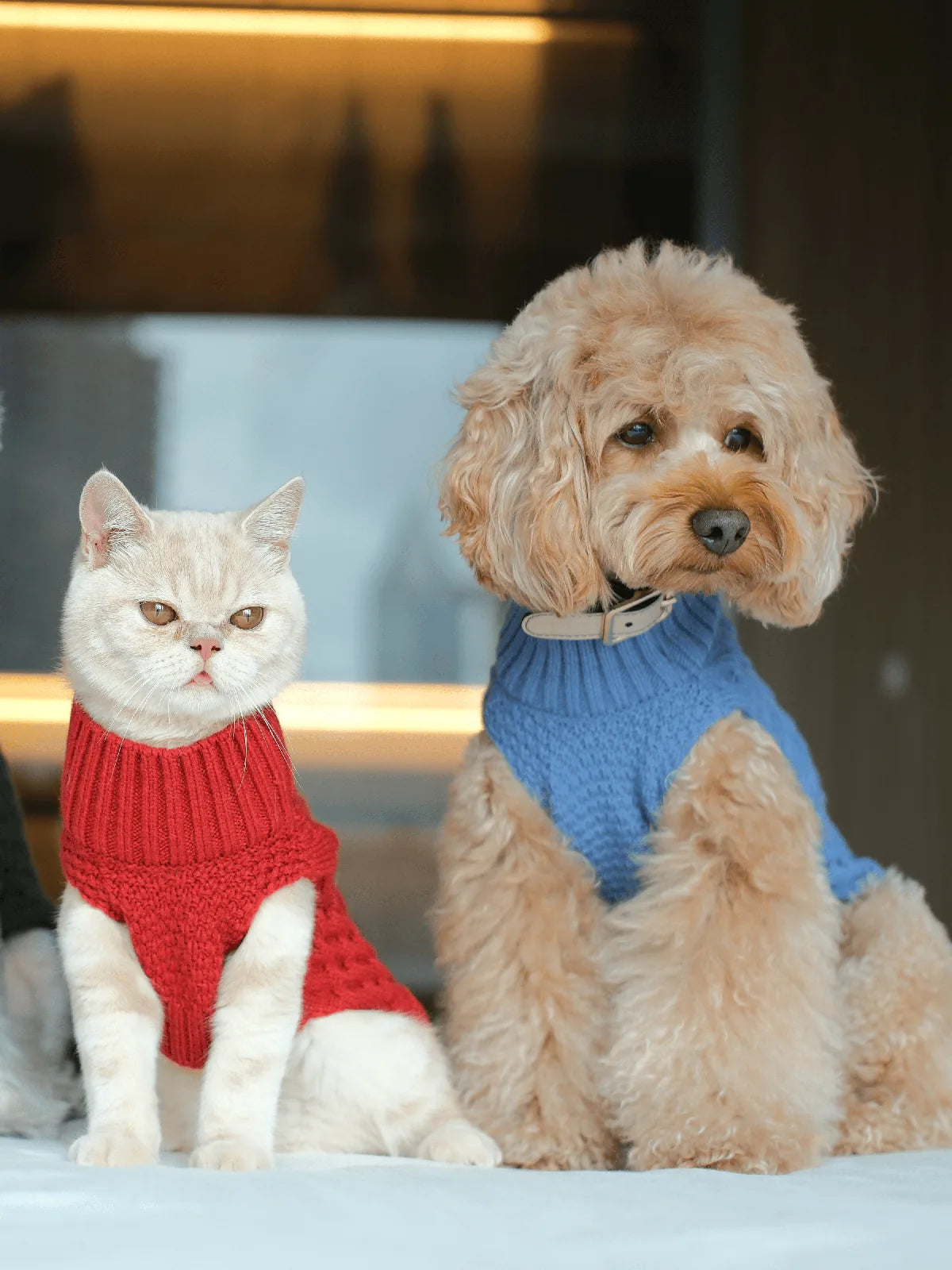 Cozy dog sweater vest in ice blue, featuring a knitted design, perfect for cooler seasons.