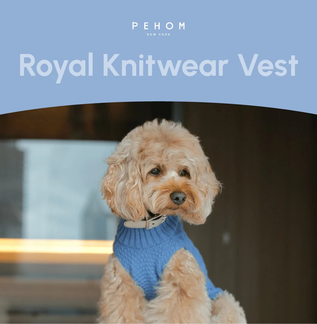 Cozy ice blue knit sweater vest on a fluffy dog, perfect for cooler seasons. Stretchable openings for easy wear.