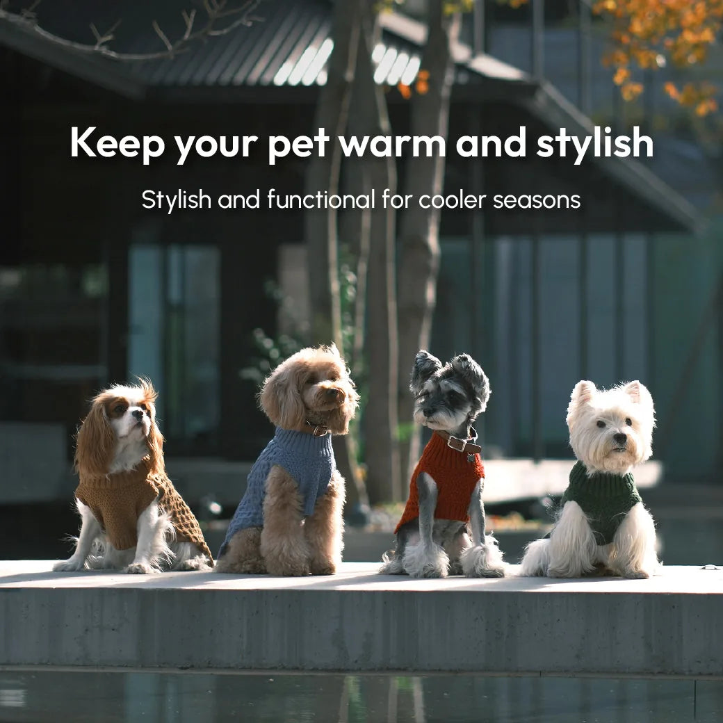 Three stylish dogs wear cozy knit vests in ice blue, brown, and green, perfect for cooler seasons.