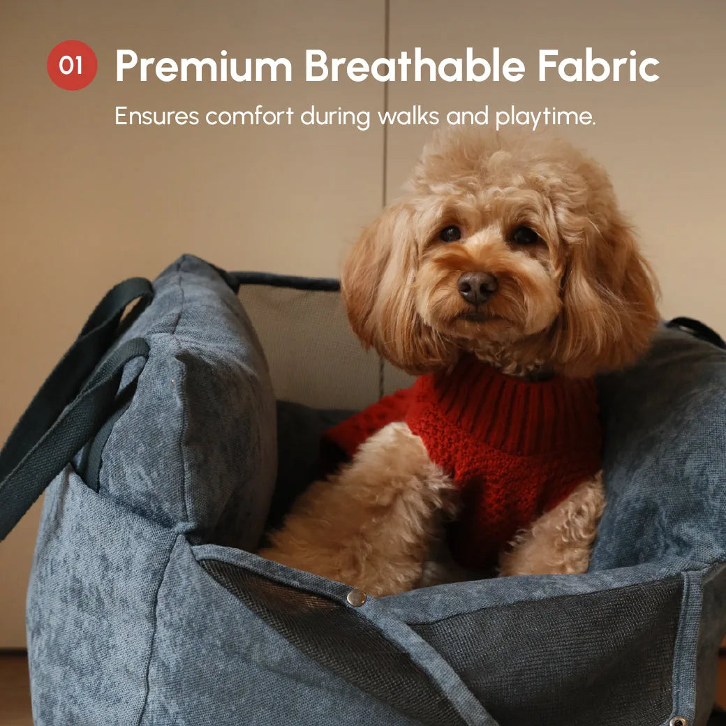 Cozy red pet sweater vest on a dog, featuring a knitted texture and a snug fit, paired with a blue plush carrier.