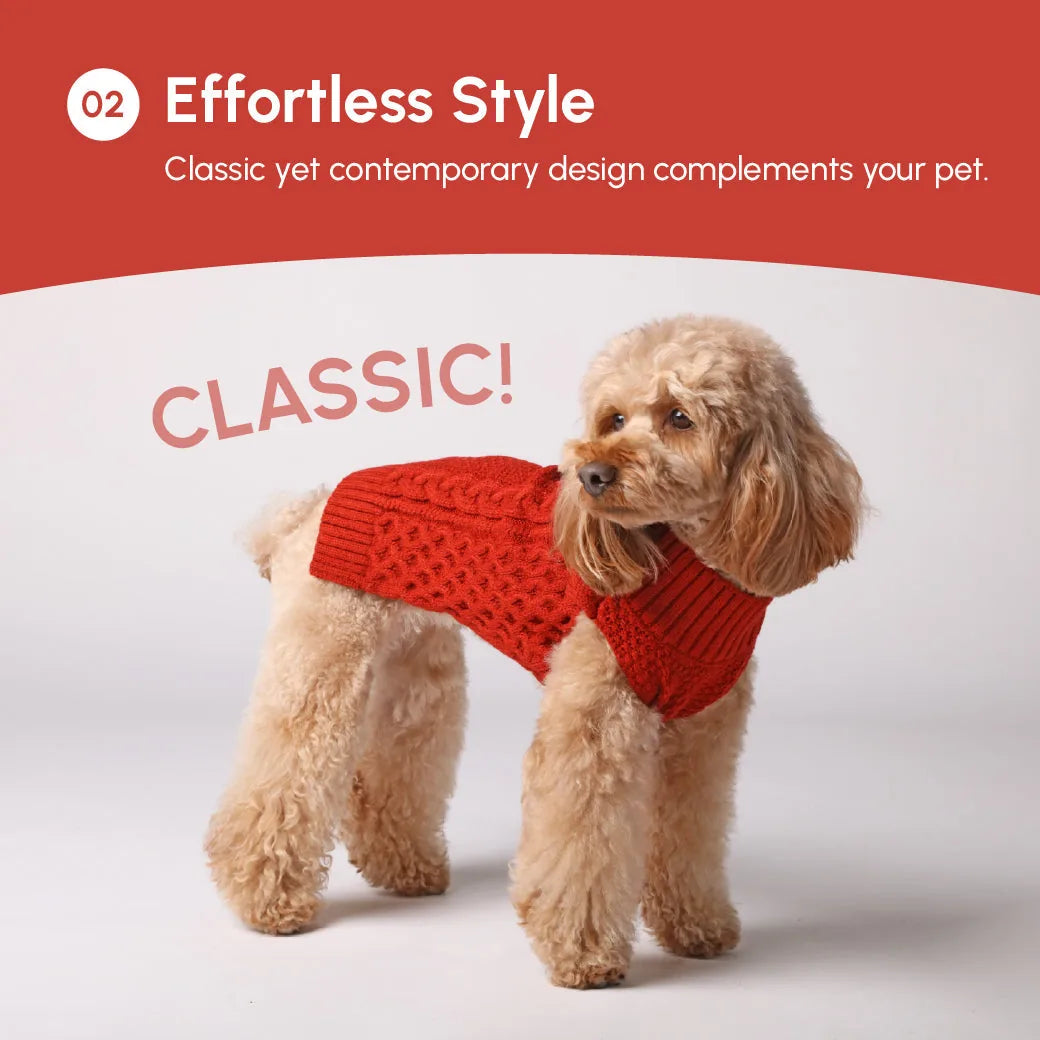 Red knitted pet sweater vest on a fluffy dog, showcasing a classic yet contemporary design for stylish warmth.