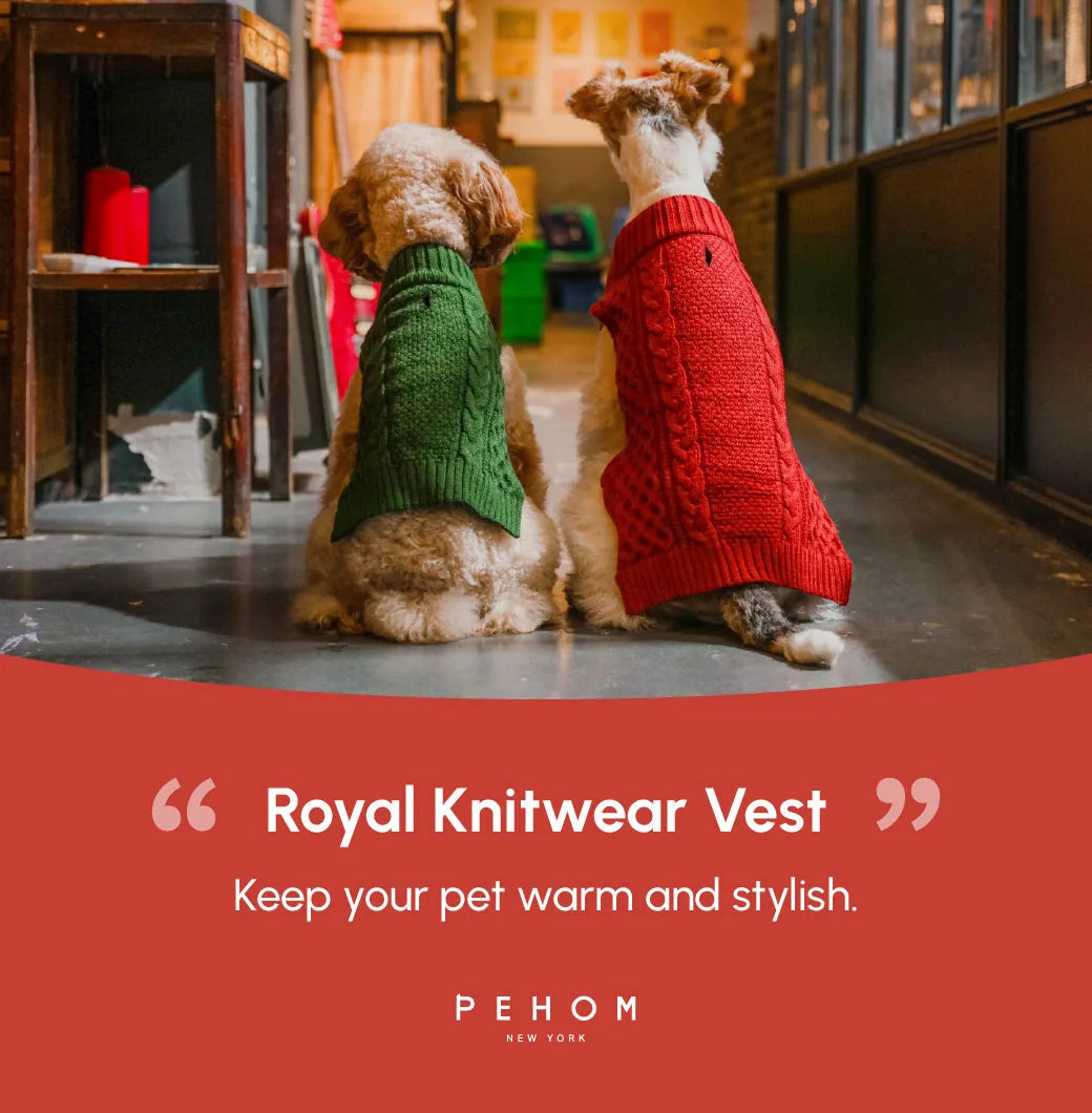 Red pet sweater vest displayed on a dog, showcasing a cozy knit design and stylish look for colder weather.
