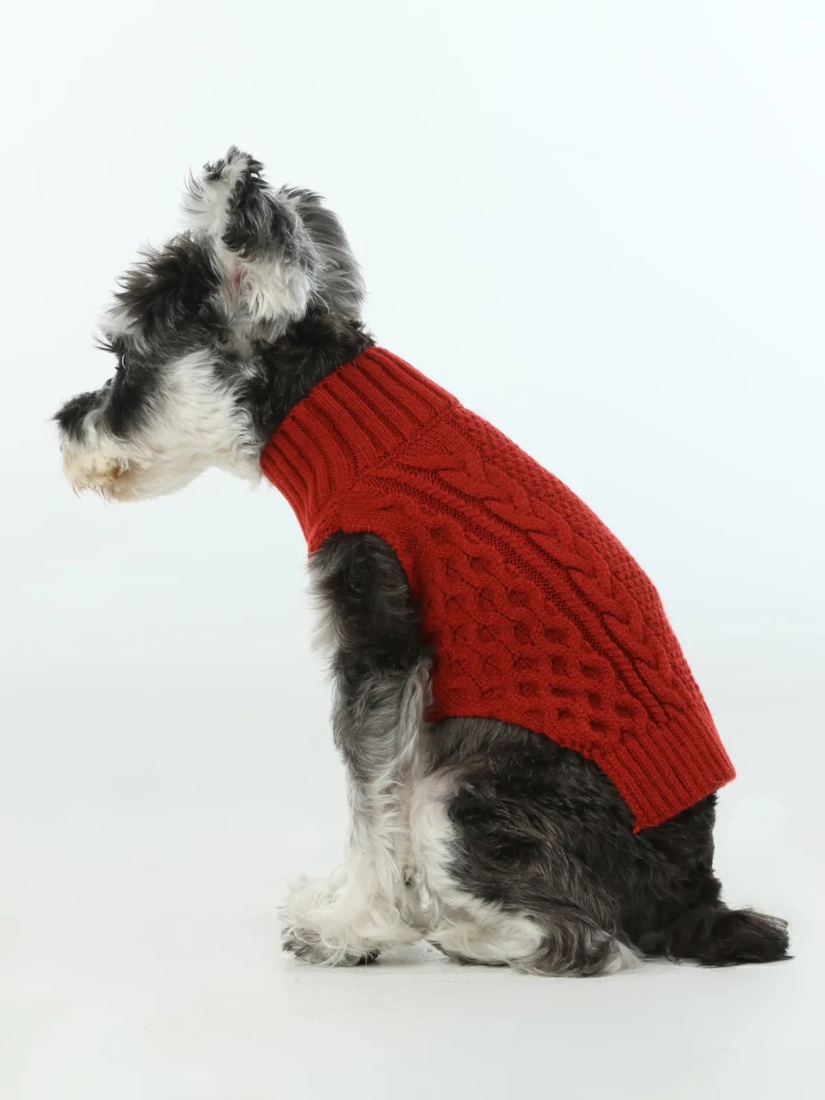 Cozy red pet sweater vest with a knit design, featuring stretchable openings for ease of wear. Ideal for stylish dogs.