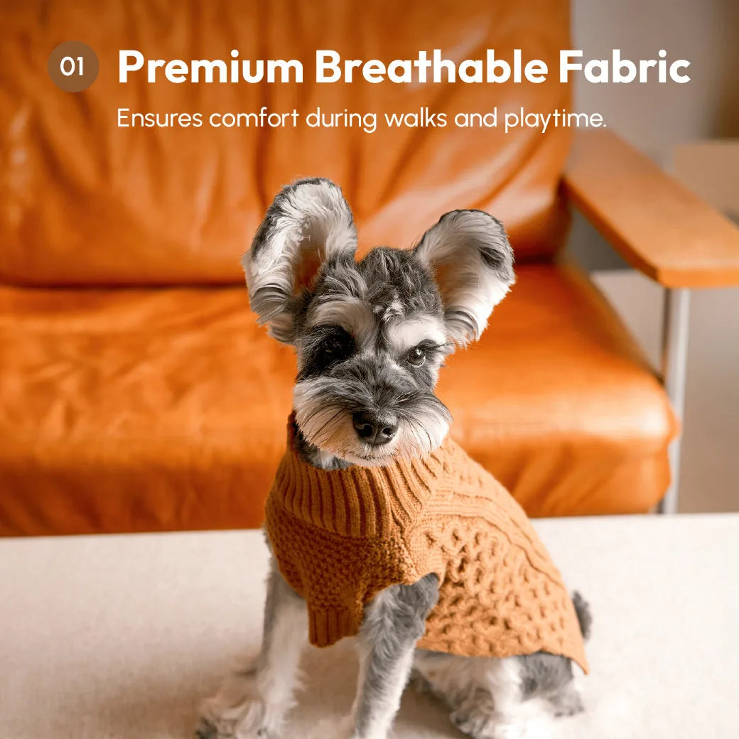 Cozy toffee orange pet sweater vest on a dog, featuring a knitted design and breathable fabric for comfort.