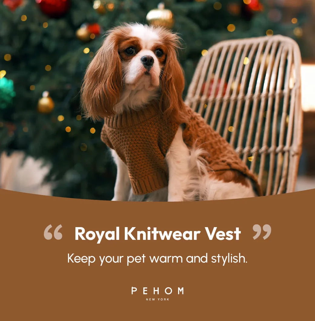Cozy toffee orange dog sweater vest with a knit design, perfect for stylish warmth during colder days.