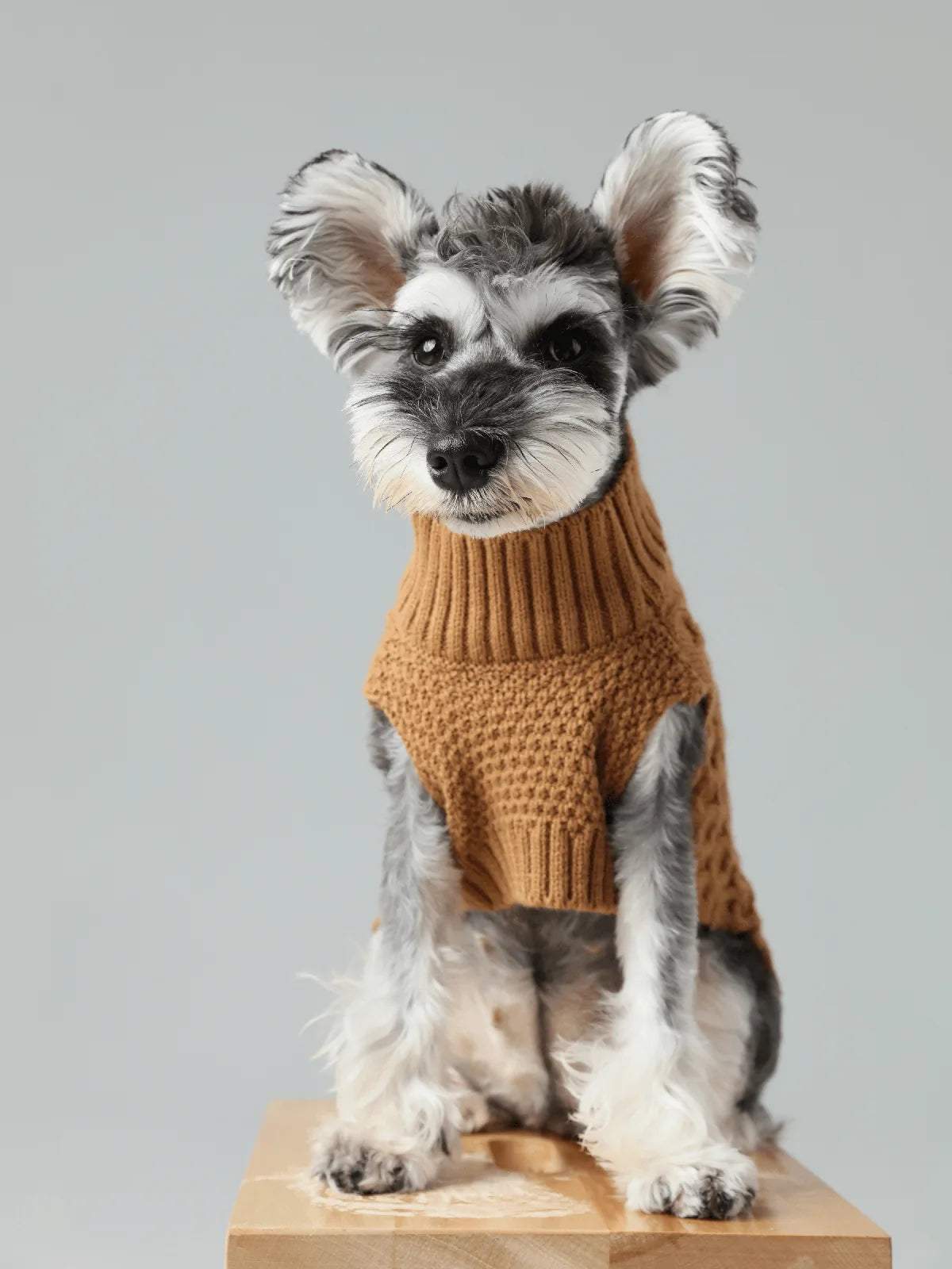 Cozy toffee orange knit sweater vest on a small dog, showcasing stretchable design and breathable material.