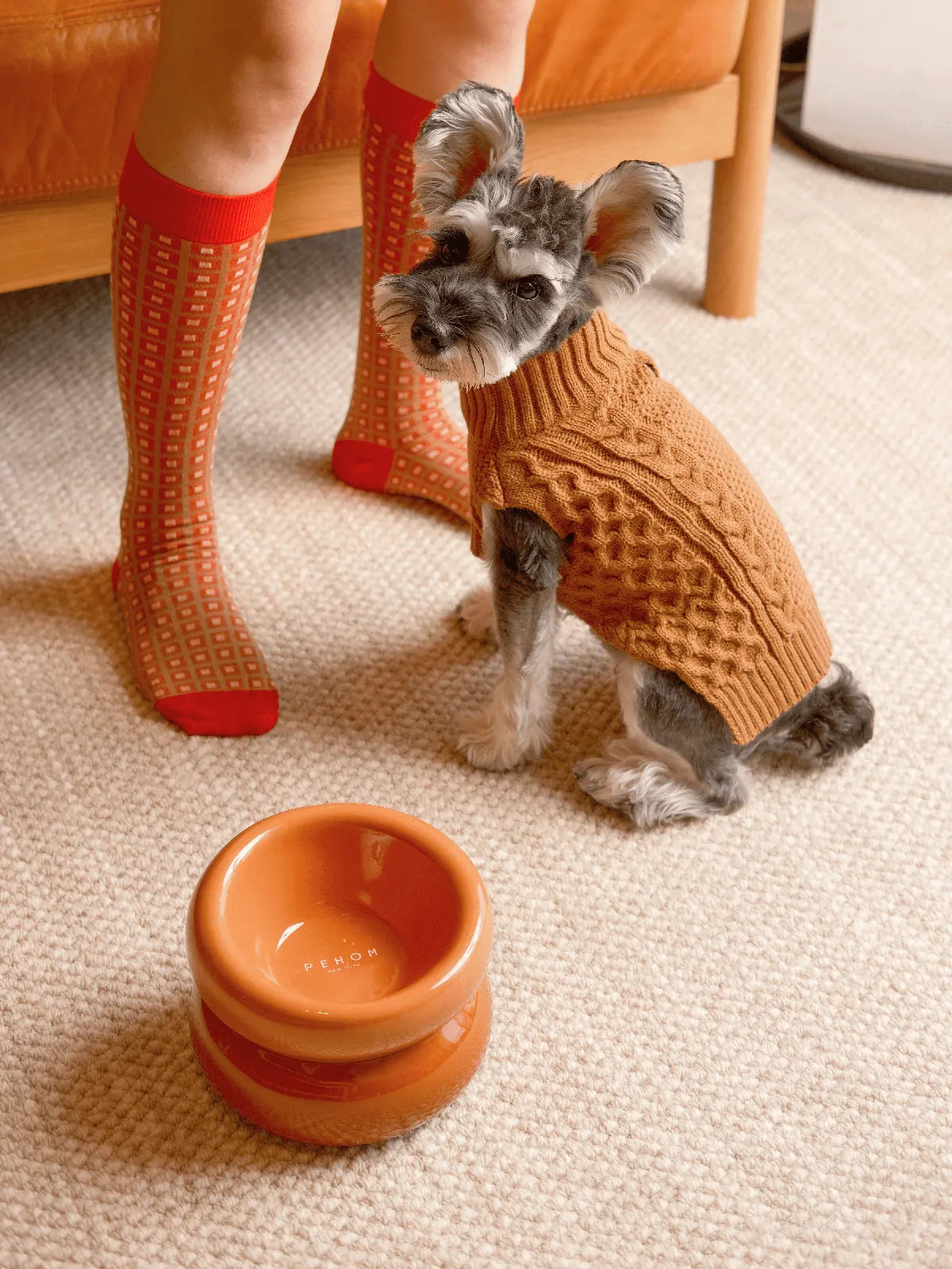 Toffee orange knit pet sweater vest on a dog, accompanied by an orange pet bowl and stylish, patterned socks.