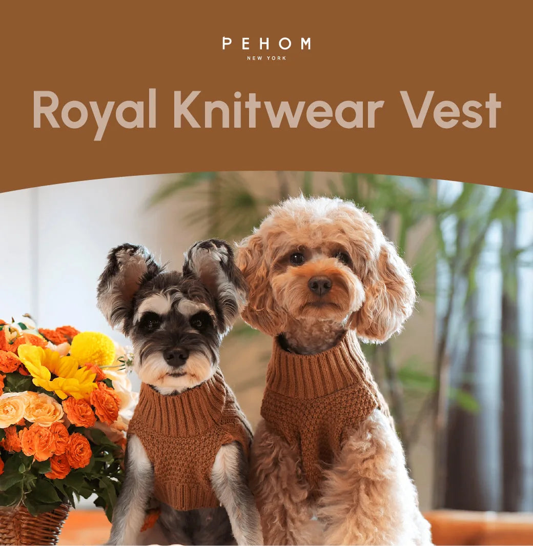 Two dogs wearing toffee orange knitted vests, posing in front of a vibrant flower arrangement.