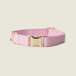 'Pink' Canvas Dog Collar by FURLOU