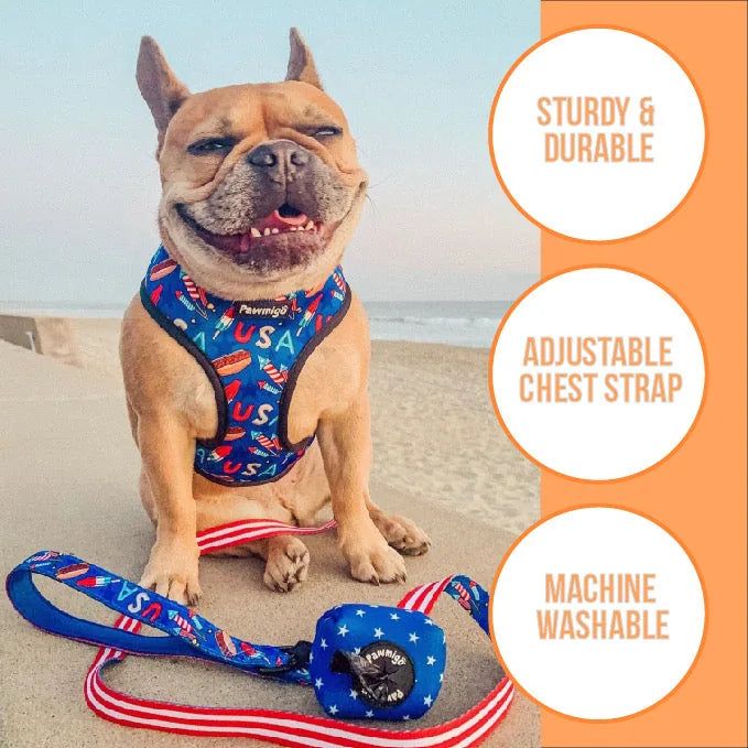 Happy dog wearing a colorful Pawmigo Polka Dog Reversible Harness with a cheerful design, sitting by the beach.