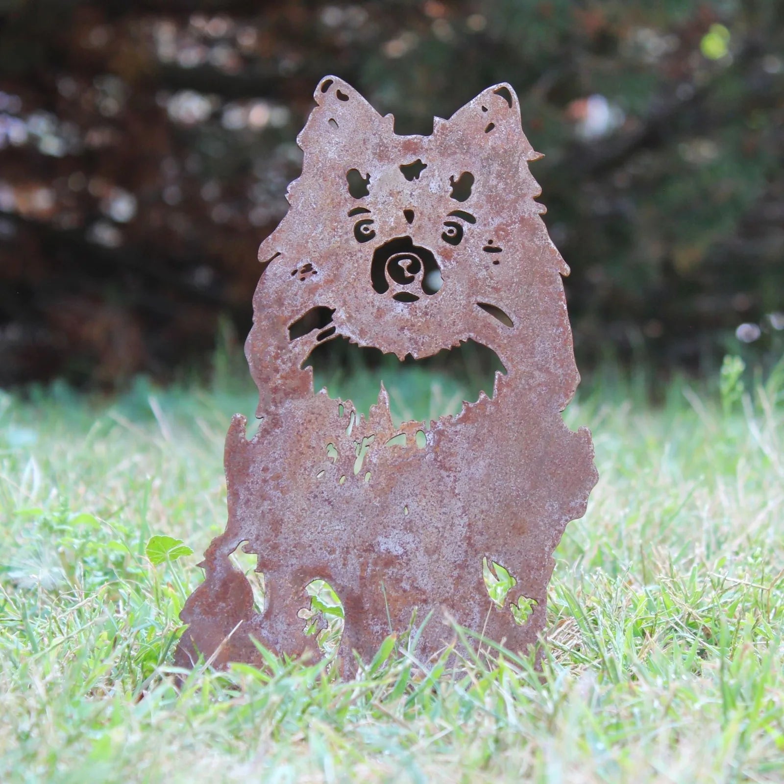Rusty Corten steel silhouette of a Pomeranian, detailed with facial features, set on grass in an outdoor space.