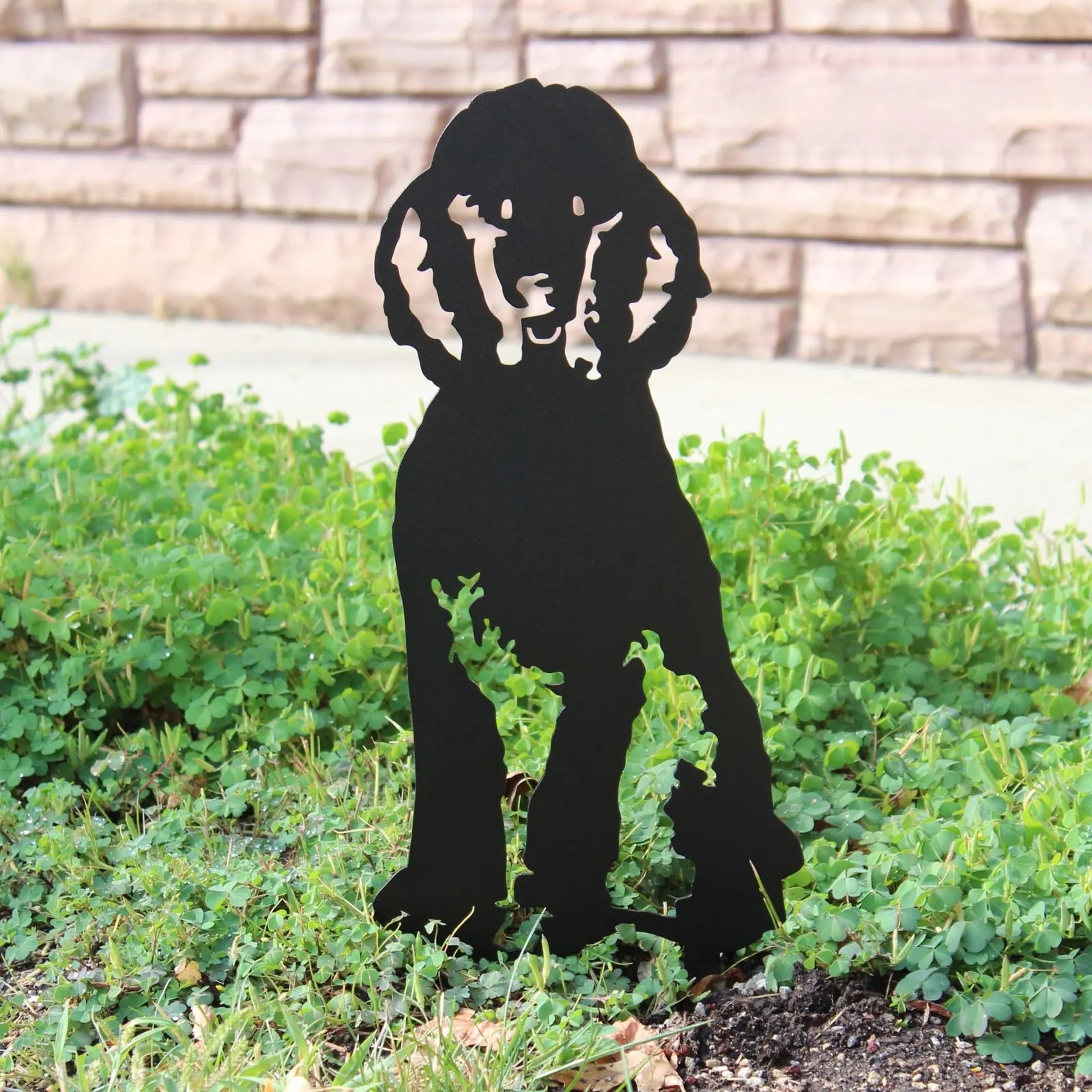 Black metal silhouette of a poodle dog, positioned among green ground cover in an outdoor setting.