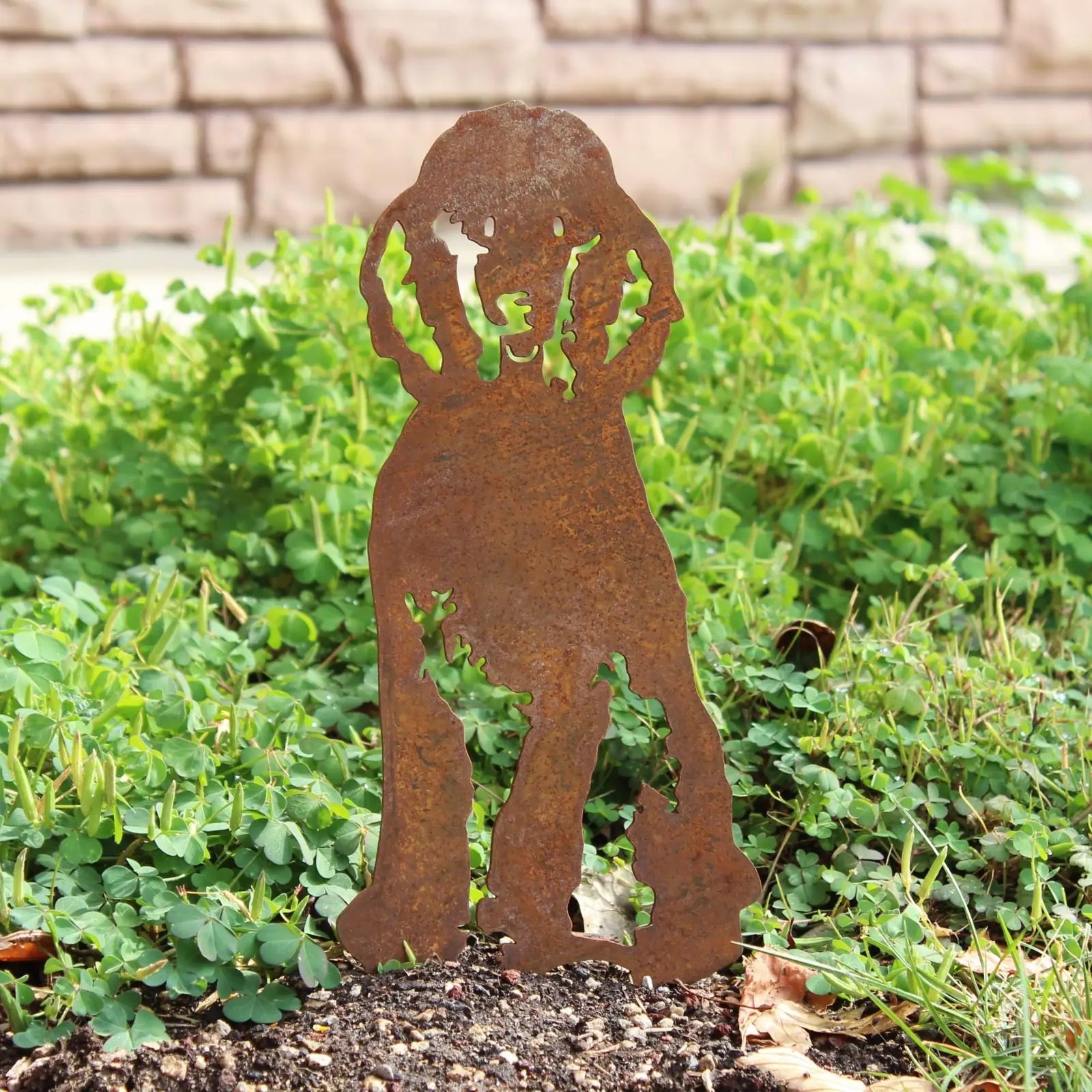 Rusty Corten steel silhouette of a poodle dog; perfect for outdoor garden decor among lush green clover.