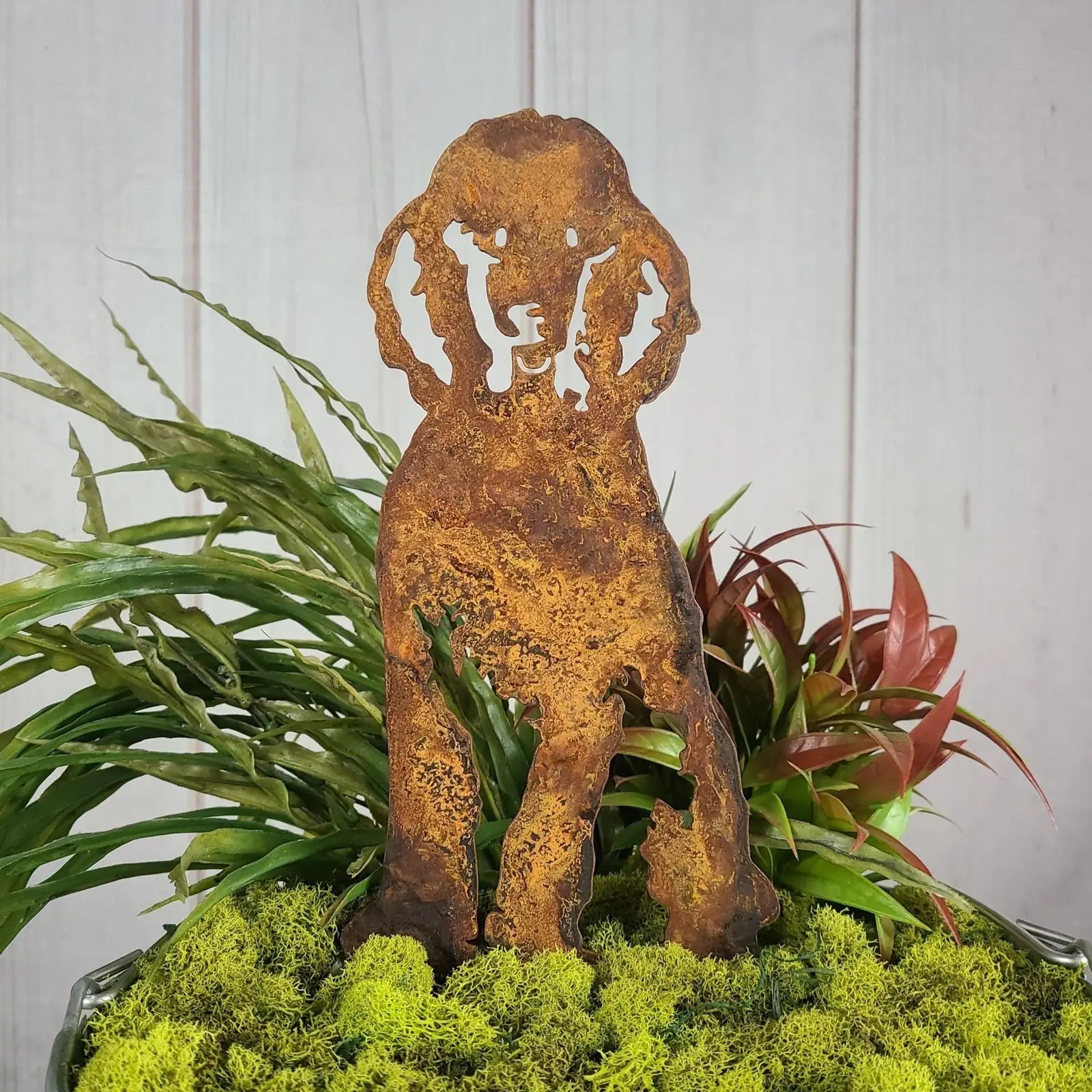 Rusty metal silhouette of a poodle dog standing among vibrant green foliage and moss, ideal for outdoor decor.