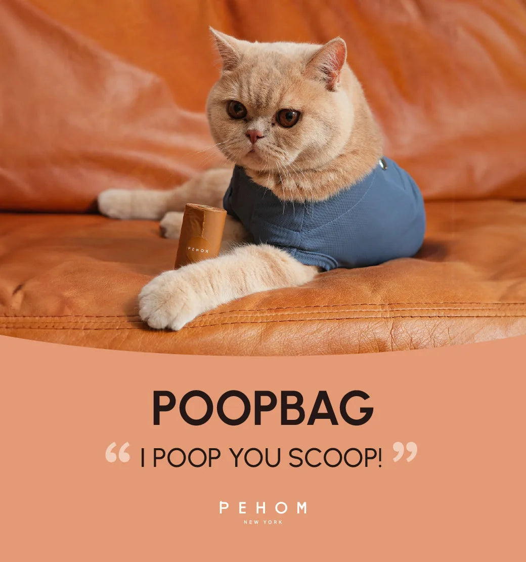 Cat lounging on a brown leather couch, featuring a blue shirt and a gold poop bag dispenser in front.