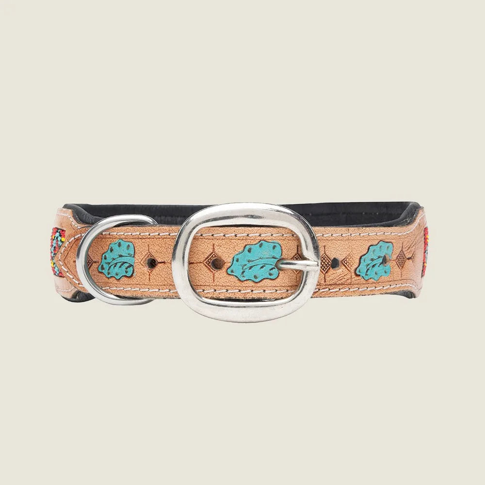 Hand-tooled leather dog collar with turquoise leaf designs and iron buckle, adding unique flair for stylish walks.