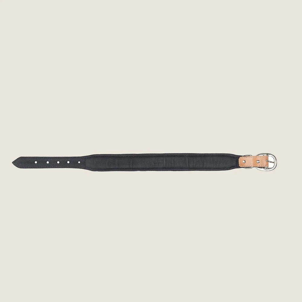 Hand-tooled black leather dog collar with beaded design and metal buckle, suitable for daily walks.