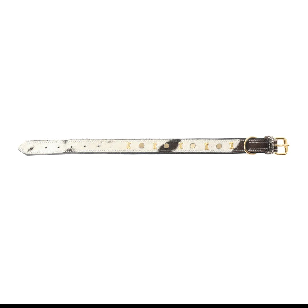 Prairie Paws dog collar in ash and ivory with bone-shaped gold studs and adjustable leather design.