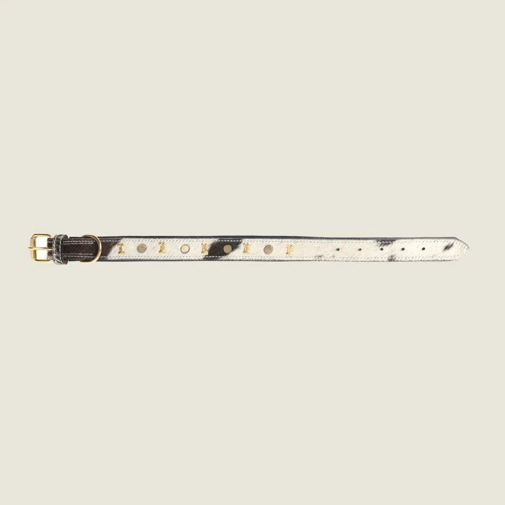 Ash and ivory leather dog collar with bone-shaped brass studs and rustic stitching, showcasing a western style.