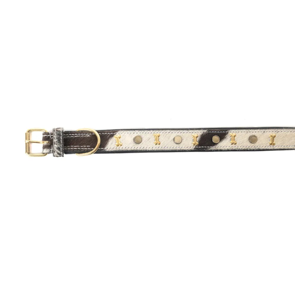 Ash and ivory leather dog collar with brass bone studs and rustic stitching, featuring an adjustable design.