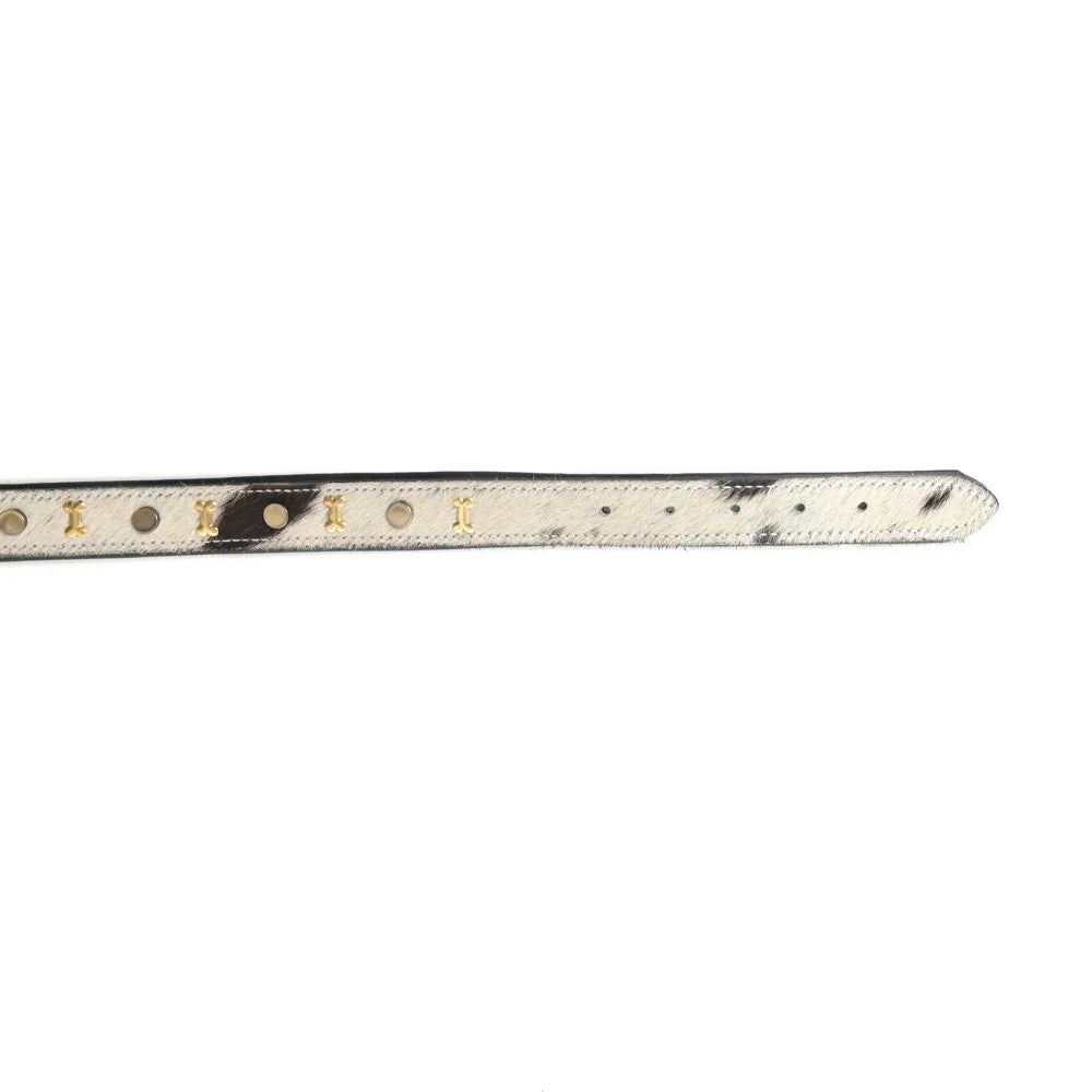 Ash and ivory studded leather dog collar featuring brass bone studs and black accents, ideal for western-style dog accesso...