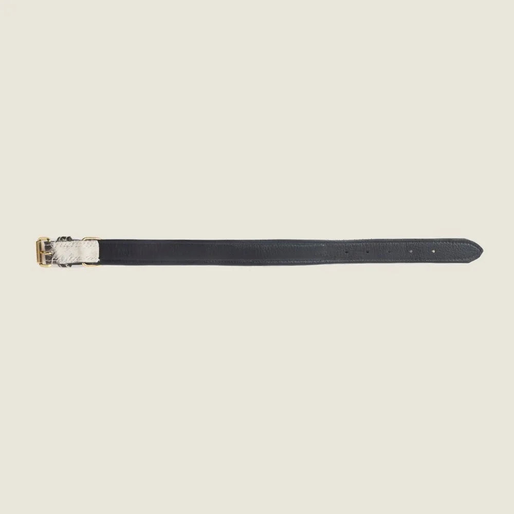 Prairie Paws dog collar in ash and ivory, featuring a leather design with bone-shaped studs and adjustable sizing.