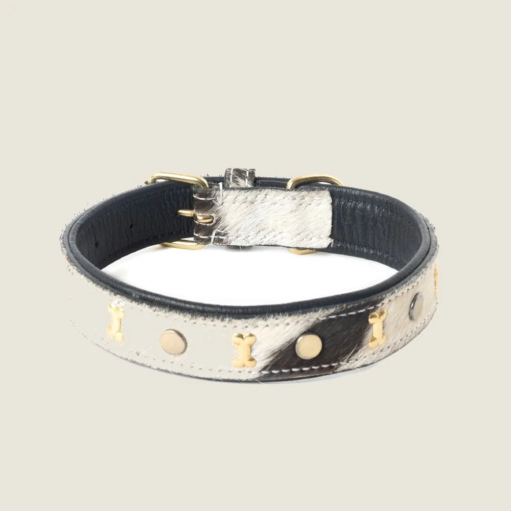 Ash and ivory leather dog collar with bone-shaped brass studs and rustic stitching, designed for a stylish western look.