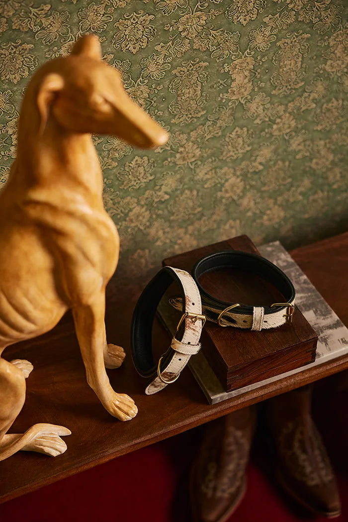 Prairie Paws leather dog collar in ash and ivory with brass studs, displayed beside a decorative dog statue.