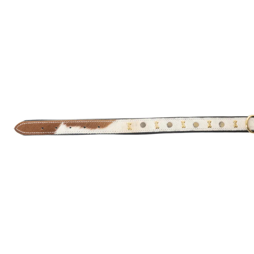 Brown and white studded leather dog collar with brass bone studs and rustic stitching, featuring an adjustable design.