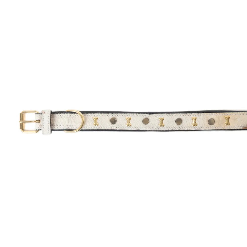 Brown and white leather dog collar featuring brass bone-shaped studs and rustic stitching for a western style.