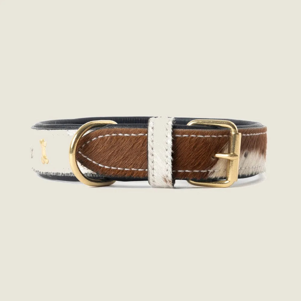 Brown and white leather dog collar with brass studs and rustic stitching for a western style.