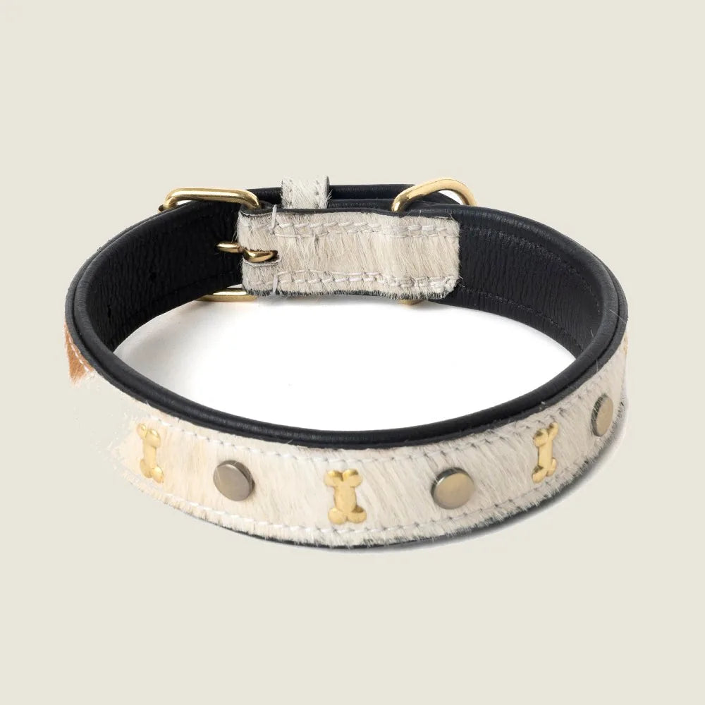 Brown and white studded leather dog collar featuring brass bone studs and rustic stitching, ideal for stylish pet walks.