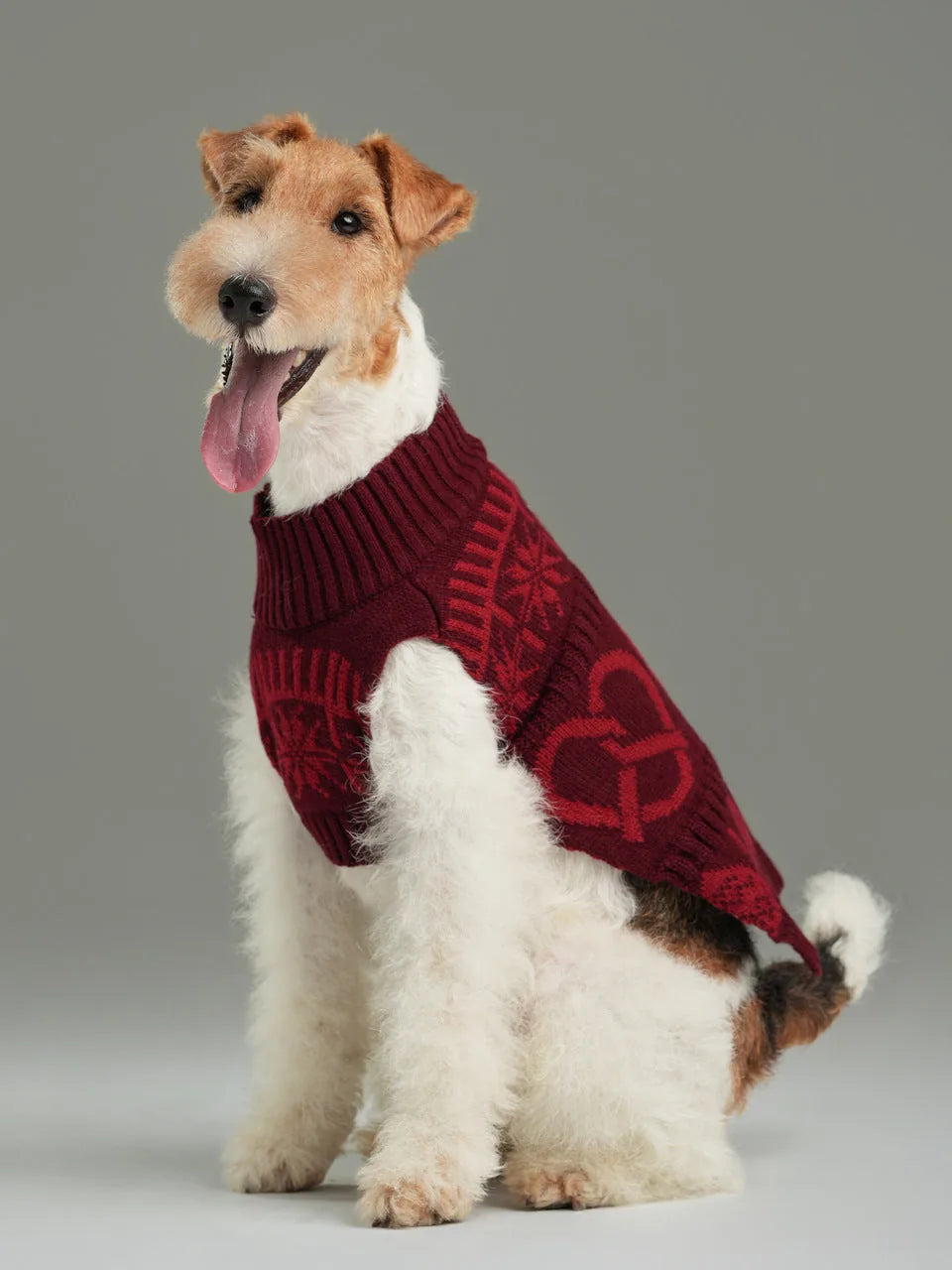 Burgundy red knit dog sweater with a cozy design, featuring a high collar and pattern, perfect for cooler seasons.
