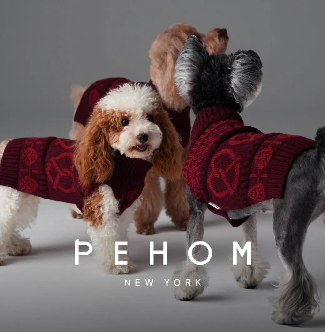 Burgundy red knit pet sweaters on three dogs, featuring a cozy design perfect for cooler seasons.