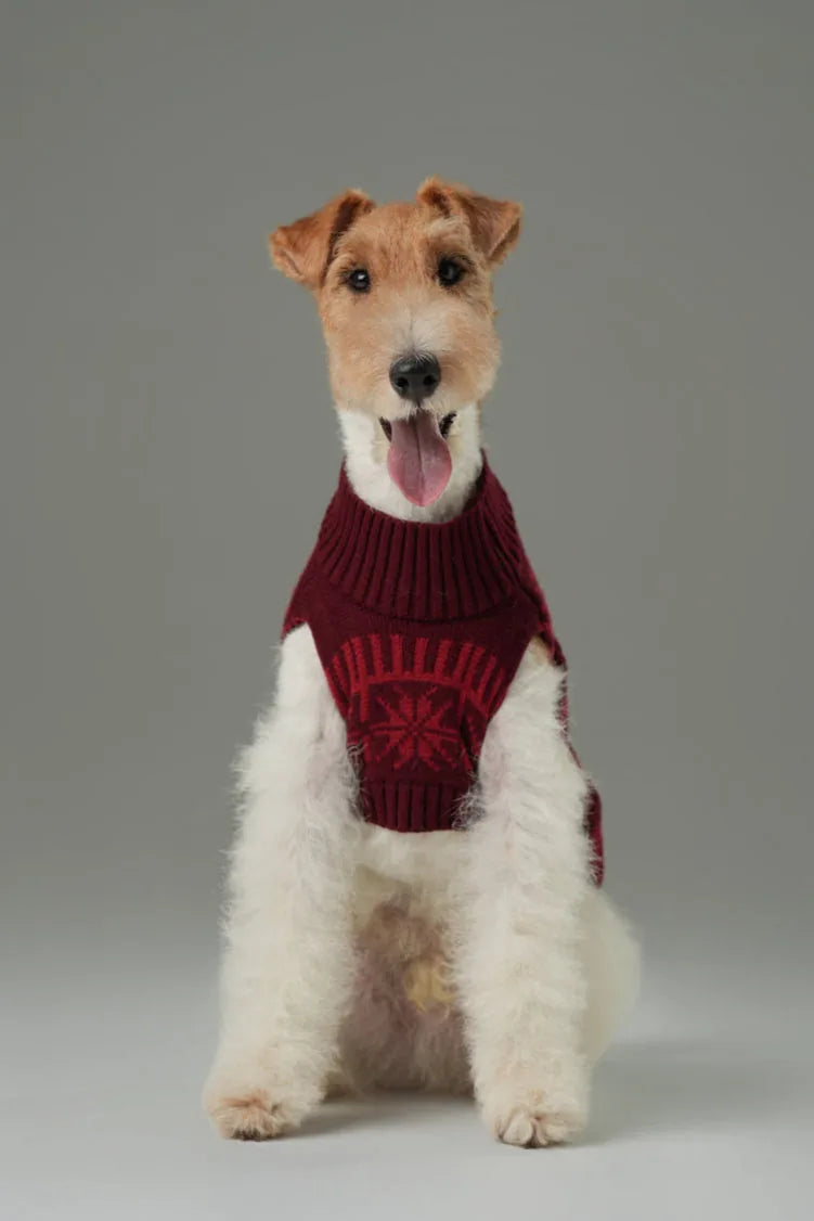 Cozy burgundy red pet sweater with a festive pattern, perfect for keeping your dog warm during cooler seasons.