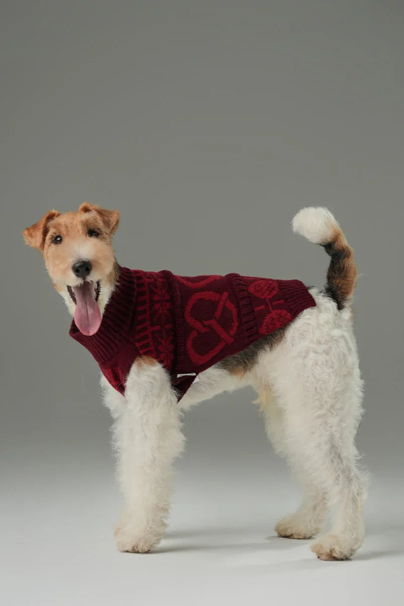 Burgundy red knit dog sweater featuring a cozy design, styled for warmth during cooler seasons.